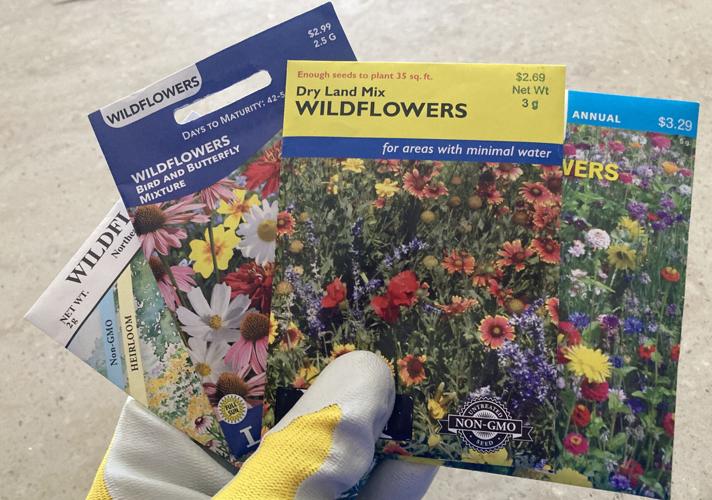 HG Master Gardener 2 may 17.jpg
