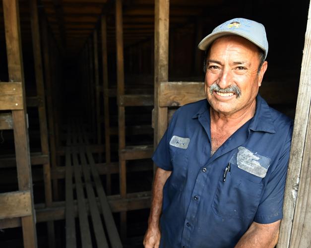 Rogelio Vivero on his Litlle Britain Twp. mushroom farm