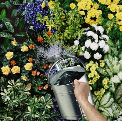 Master gardener column 1