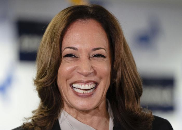 Election 2024 Democrats